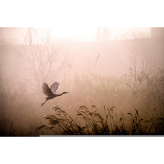 Mardi 08 novembre à 18h: L'homme et la nature, trouver l'équilibre (Nature Nomade)