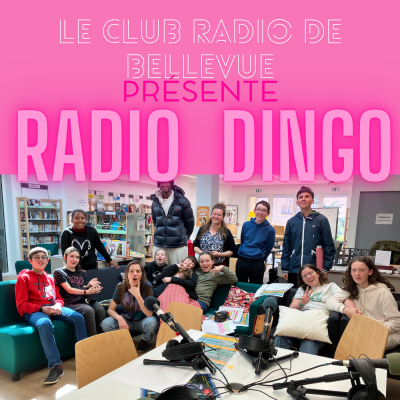 Radio Dingo