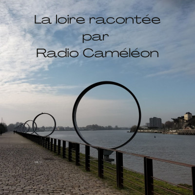 La Loire une mini série des ateliers radio du CATTP les Salorges